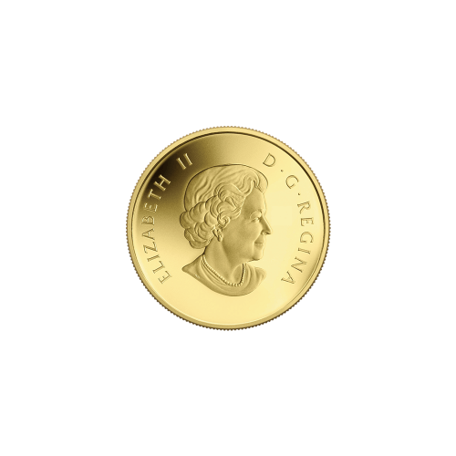 Pièce 1/10 once d'or Bernache du Canada Série Ô Canada 2014