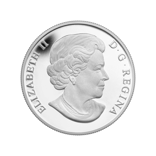 Pièce 1/2 once d'argent Série Ô Canada - Bernache du Canada 2014