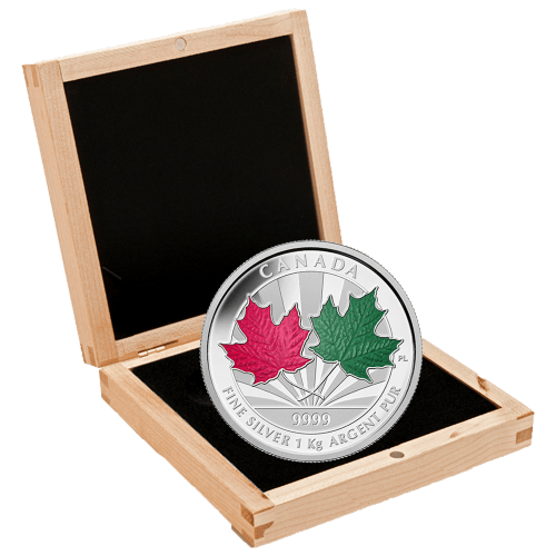 Pièce 1 kilo d'argent épreuve numismatique La richesse d'un symbole 2014 | Monnaie royale canadienne