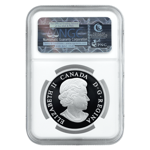 1 oz 2014 Woolly Mammoth NGC PF-70 (ER) Silver Coin | Silver Gold