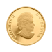 14 kt 2014 Superman™ Comic Book Covers: The Adventures of Superman™ #596 Gold Coin | Royal Canadian Mint