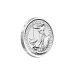 1/4 oz 2013 S.S. Gairsoppa Britannia Silver Coin | The Royal Mint