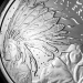 1 oz 2014 Never Trust Government Silver Round