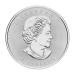 Pièce 1,25 once d'argent Bison canadien 2015 | Monnaie royale canadienne