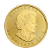 Pièce 1 once d'or Feuille d'érable canadienne 2015