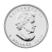 1 oz 2009 Canadian Maple Leaf Silver Coin | Royal Canadian Mint