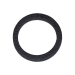 19 mm Ring Insert for Coin Capsule