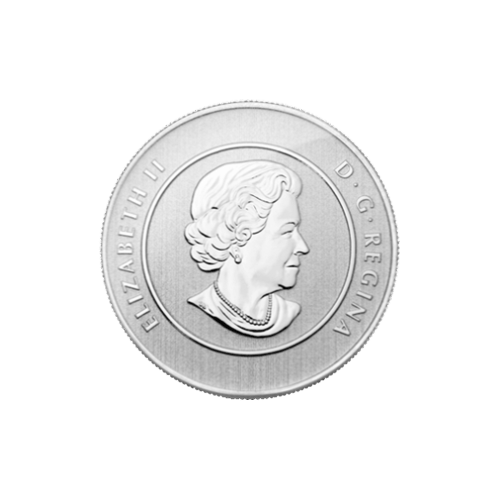 1/4 oz 2011 $20 for $20 Canoe Silver Coin | Royal Canadian Mint