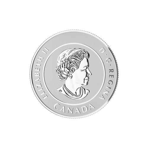 Random Year 1/4 oz $20 for $20 Silver Coin