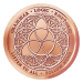 1 oz 2015 Trivium Copper Round | Silver Shield