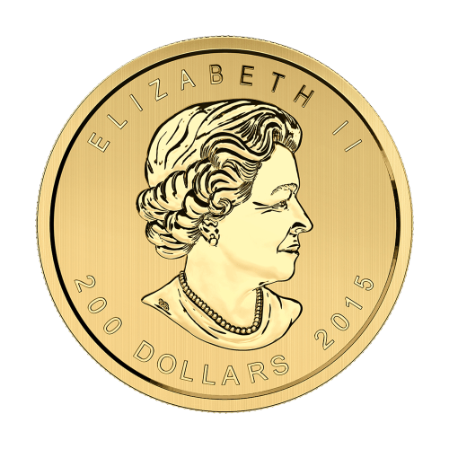 1 oz 2015 Call of the Wild Series: Growling Cougar Gold Coin | Royal Canadian MInt