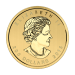 1 oz 2015 Call of the Wild Series: Growling Cougar Gold Coin | Royal Canadian MInt