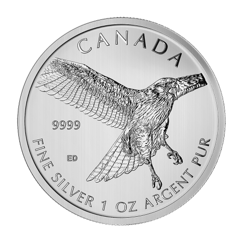 1 oz 2015 Birds of Prey: Red-Tailed Hawk Silver Coin | Royal Canadian Mint