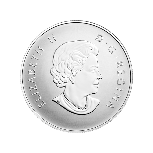 1/2 oz 2015 Welcome to the World Silver Reverse Proof Coin