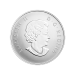 1/2 oz 2015 Welcome to the World Silver Reverse Proof Coin