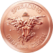 5 oz 2015 Warbird Copper Round