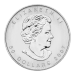 1 oz 2007 Canadian Maple Leaf Palladium Coin | Royal Canadian Mint