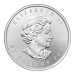Pièce 1 once de palladium Feuille d'érable canadienne 2015