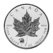 Pièce 1 once d'argent Feuille d'érable canadienne Marque d'atelier Titanic 2012
