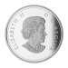 1 oz 2015 Iconic Superman™ Comic Book Covers | Superman™ #28 Silver Coin