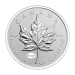 1 oz 2015 Canadian Maple Leaf E=mc2 Privy Reverse Silver Proof Coin | Royal Canadian Mint