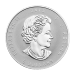 1 oz 2015 Canadian Maple Leaf E=mc2 Privy Reverse Silver Proof Coin | Royal Canadian Mint