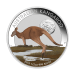 Ensemble de 3 pièces 1/2 once d'argent coloré Épreuve numismatique Outback australien 2015 | Monnaie de Perth