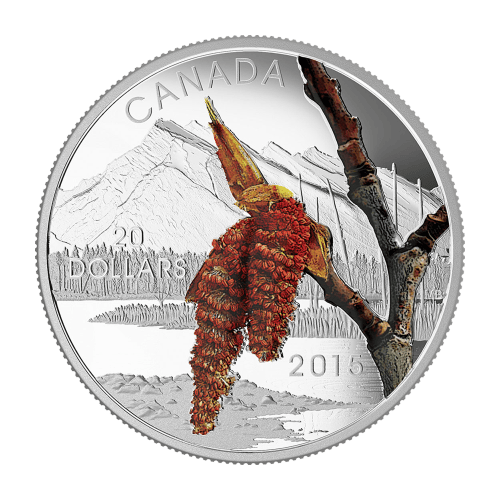 1 oz 2015 Forests of Canada: Boreal Balsam Poplar Silver Proof Coin | Royal Canadian Mint