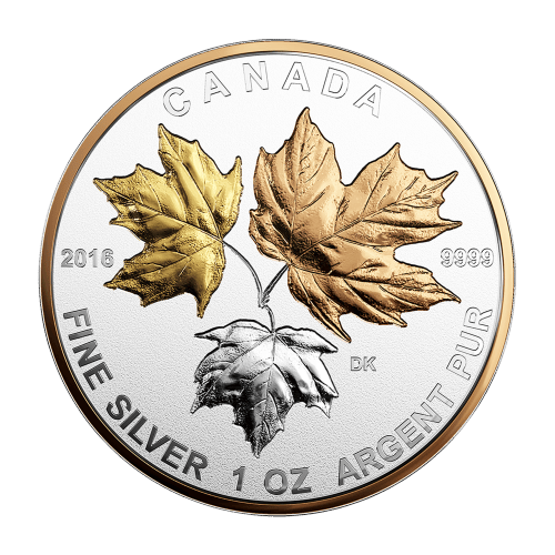 Ensemble divisionnaire Feuilles d'érable canadiennes 2016 - Pièces d'argent plaqué or Un règne historique