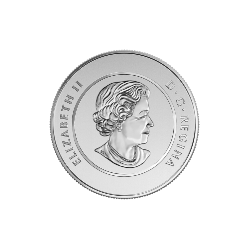 1/4 oz 2015 $20 for $20 Gingerbread Man Silver Coin | Royal Canadian Mint
