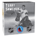 Pièce 1/2 once d'argent Épreuve numismatique Gardiens de but | Terry Sawchuk 2015