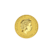 1/10 oz 2016 Australian Kangaroo Gold Coin | Perth Mint