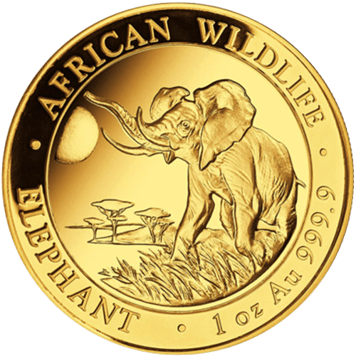 Pièce 1 once d'or Éléphant d'Afrique somalien 2016