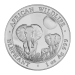 Pièce 1 once d'argent Éléphant d'Afrique Somalie 2014 | Décolorée