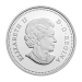 Pièce 1 once d'argent Épreuve numismatique Castor au travail 2015
