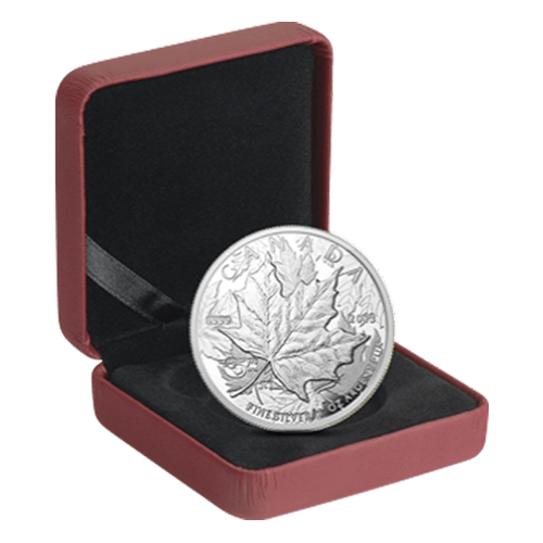 Pièce 1 once d'argent Épreuve numismatique Haut relief Piedfort 25e anniversaire de la Feuille d'érable 2013