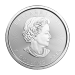 1 oz 2016 Canadian Maple Leaf Silver Coin | Royal Canadian Mint