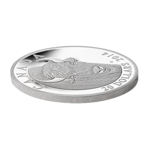 1 oz 2014 The Bison: A Portrait Silver Proof Coin | Royal Canadian Mint