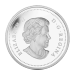 1 oz 2014 The Bison: A Portrait Silver Proof Coin | Royal Canadian Mint
