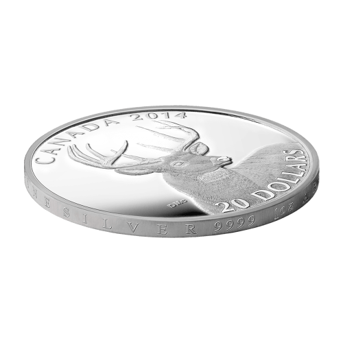 1 oz 2014 White-Tailed Deer: Portrait Silver Proof Coin | Royal Canadian Mint
