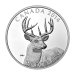 1 oz 2014 White-Tailed Deer: Portrait Silver Proof Coin | Royal Canadian Mint