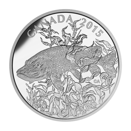 1 oz 2015 North American Sportfish: Northern Pike Silver Proof Coin | Royal Canadian Mint