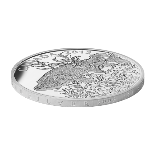 1 oz 2015 North American Sportfish: Northern Pike Silver Proof Coin | Royal Canadian Mint