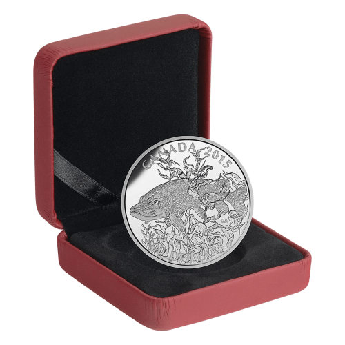 1 oz 2015 North American Sportfish: Northern Pike Silver Proof Coin | Royal Canadian Mint