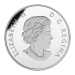 Pièce 1 once d'argent 5c Hommage au Nickel canadien : Le castor 2015 | Monnaie royale canadienne