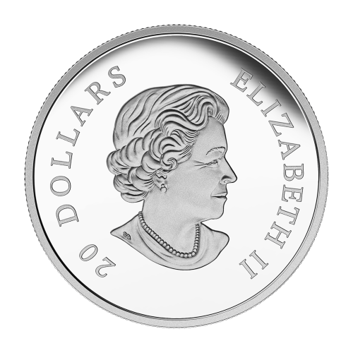 1 oz 2015 Lost Ships in Canadian Waters Series | Franklin's Lost Expedition Silver Proof Coin