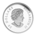 1 oz 2015 Lost Ships in Canadian Waters Series | Franklin's Lost Expedition Silver Proof Coin