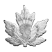 1 oz 2015 Canadian Maple Leaf Shaped Silver Proof Coin | Royal Canadian Mint