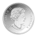 Pièce 1 once d'argent épreuve numismatique Année du Singe 2016