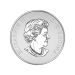 Pièce 1/2 once d'argent Épreuve numismatique inverse Bienvenue dans le monde 2016